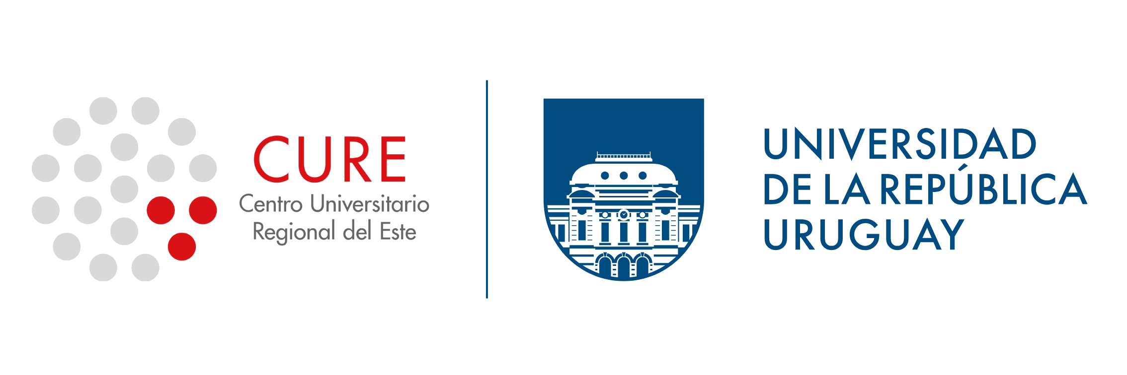 Formulario actividades en el medio, extensión e integrales
